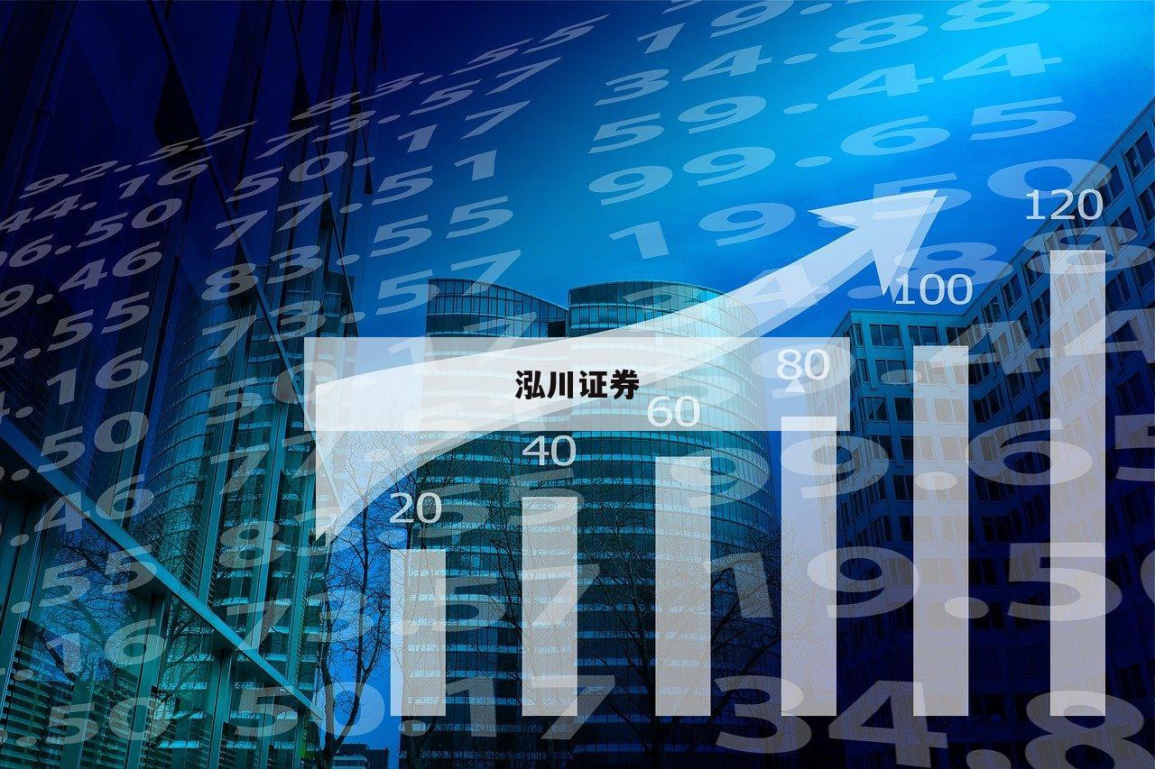 股票配资的风险与收益，揭秘投资新机遇